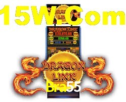 Bra55 App Interface