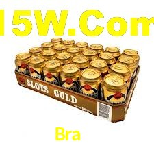 Bra55,Bra55 Paga