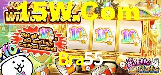 Bra 55 Slots